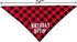 Dog Birthday Hat and Bandana Boy Set