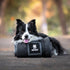 OneTigris Portable Travel Dog Bed, Waterproof Anti-Slip Cushioned Mat for Camping and Indoor Use