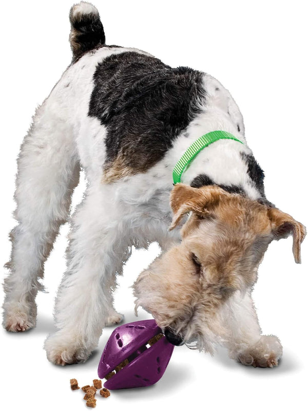 PetSafe Busy Buddy Twist 'n Treat Dog Toy for Medium and Large Breeds, Purple