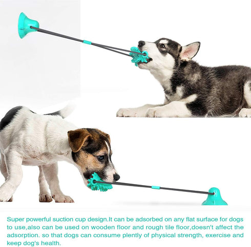 Guardians Dog Chew Toy with Suction Cup, Food Dispensing Toothbrush for Small Medium Dogs (Blue Cactus)