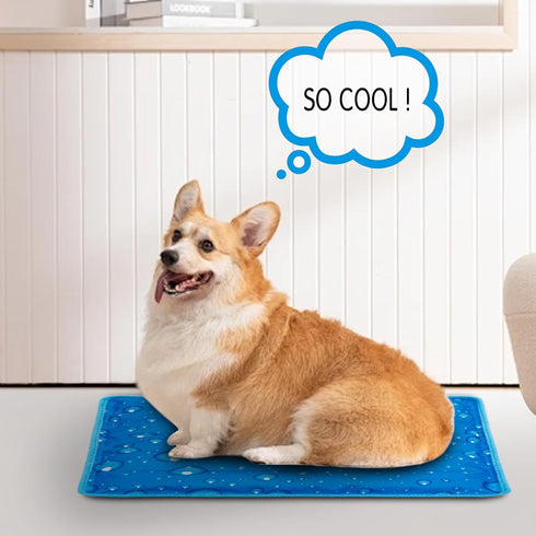 Water Injection Dog Cooling Mat, Pet Cooling Pads for Dogs & Cats, Ideal for Outdoor Car Seats & Beds