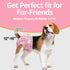 Hole(Pink,12M) Pet Soft Dog Diapers Female, Disposable Female Dog Diaper, Doggie Diapers for Cat Puppy with Adjustable