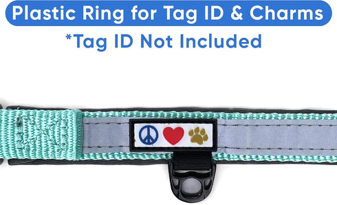 Pawtitas Lumberjack Padded Martingale Collar for Dogs, Soft Neoprene, Reflective Band, Medium Teal, Fits Small and