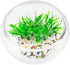 COMSUN 10 Pack Artificial Aquarium Plants, Small Size, 4 inch Approximate Height, Plastic Green Fish Tank Decorations