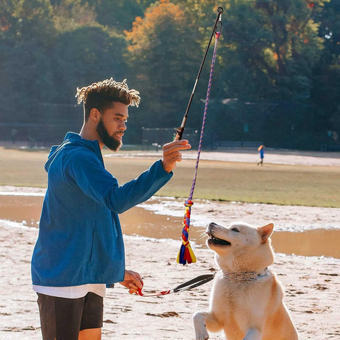 Flirt Pole for Dogs-Interactive Lures Durability Rope,Chase and Tug of war Puppy Toy,Outdoor Dog Agility Training Equipment Plush,Teaser Chew Pet Kits for Small Medium Dogs