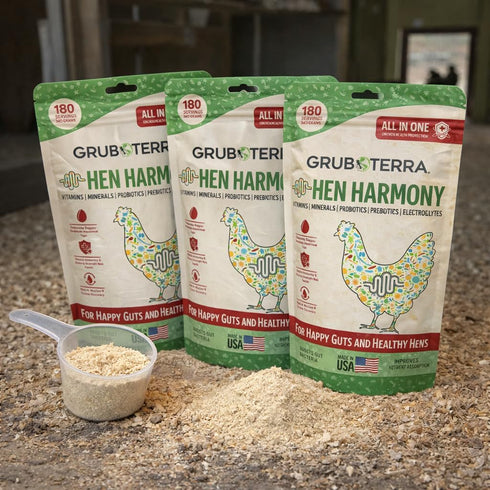 180 GrubTerra Hen Harmony All-in-One Chicken Electrolytes for Water with Probiotics & Prebiotics, Daily Gut Supplement