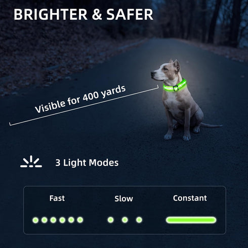 PetIsay Light Up Dog Collar - High Visibility Nylon, USB C Rechargeable & Waterproof LED for Night Walking, Medium Green