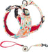Dog Harness and Leash Set, Adjustable Dog Harness, Dog Leash, No Pull No Choke Puppy Harnesses for Walking Training for Small, Medium, Large Pet