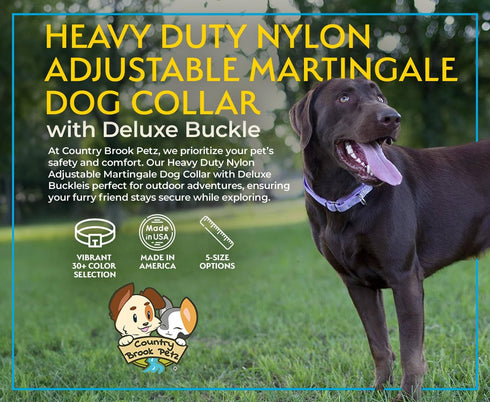 Country Brook Petz Heavy Duty Nylon Adjustable Martingale Dog Collar with Deluxe Buckle for Small Medium Large Breeds