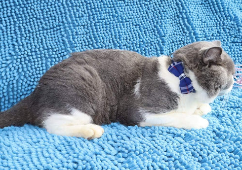 THAIN Cat Collar with Breakaway Safety Buckle, Bell and Bow Tie, Adjustable 7-11 inches, Blue Plaid Pattern for Kittens