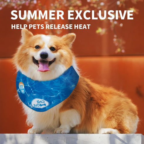 ALL FOR PAWS Chill Out Ice Bandana, Large Size