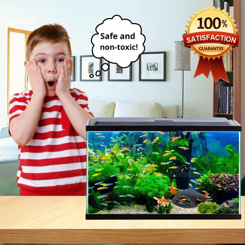 Corisrx Fish Tank for Aquatic Use