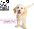 Wags & Wiggles 16 Oz Freshen Deodorizing Dog Shampoo, Very Berry Scent - Odor-Eliminating Dog Shampoo with Tea Tree Oil