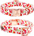 Lionheart glory Dog Collar Popsicle Print Dogs Collar Spring Summer Cute Collars Dog Boy or Girl Soft Durable Adjustable Dog Collars for Small Dogs Pet Collar Gift