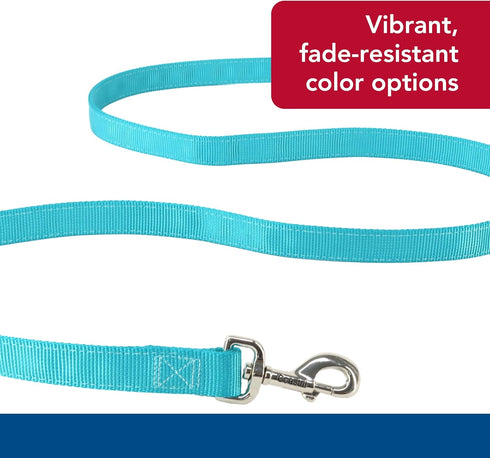 Coastal Pet Double-Ply Dog Leash, Bolt Snap Attachment, Nylon Walking Leash for Small, Medium, Large Dogs (Teal, 1" x