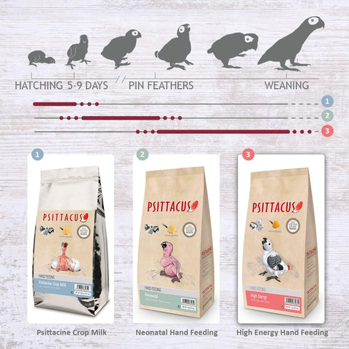 2.2 lb 100% Psittacus High Energy Hand-Feeding Formula | Diet for Baby African Greys, Macaws and Other African Parrots