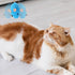 Mozeat Lens 8 Pack 8 Toy Mice for Cats Cat Mice Toys Interactive Toy Cats Mouse Plush Cat Toys Catnip Toy Biting Toys
