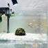 Wzttdm 4 PCS Shrimp Dome Hide, Aquarium Shrimp Cave Hideout, Shrimp Hides for Aquarium Small Fish Guppy Shrimp Habitat