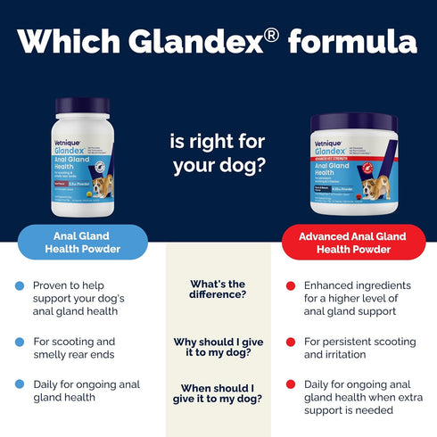 (2.5oz Vetnique Glandex for Dogs Anal Glands Supplement Powder Digestive Health with Fiber, Pumpkin, Digestive Enzymes