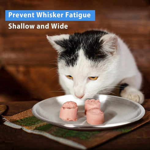 Stainless Steel Cat Dishes for Food and Water - 2 Sets Shallow Style for Kittens and Baby Cats, Relief of Whisker