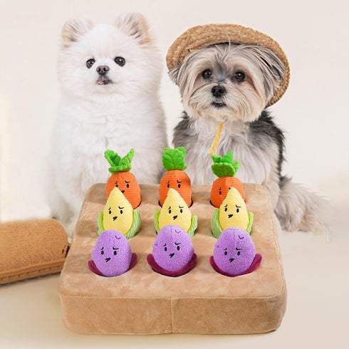 Generic Carrot Toy for Dog | Squeaky Interactive Slow Feeder,Puppy Carrot Toys with Carrots - for Pet Puppy Kitten