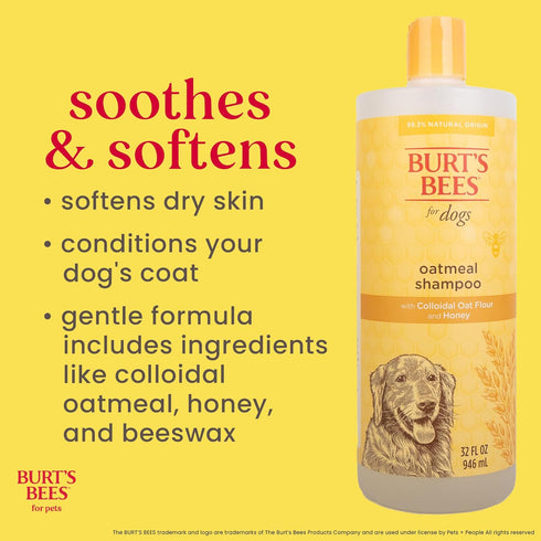 32 Oz Burts Bees for Pets Oatmeal Dog Shampoo with Honey, Soothing Dog Shampoo for Itchy and Sensitive Skin, pH