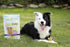 Nature Gnaws Beef Tendons for Dogs - 7-11" (12 Count), Long Lasting Natural Jerky Chew Bones, Rawhide Free