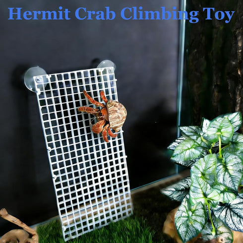 (4 Hamiledyi Hermit Crab Climbing Toys Hermit Crabs Plastic Climbing Grids Platform Ladder Bridge with Suction Cups