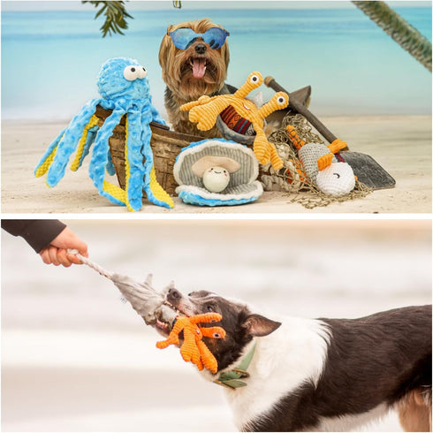 Nocciola Crinkle Squeaky Dog Toys, Blue Octopus Dog Toy, Ocean Theme Interactive Rope Toys for All Dogs (Crab)