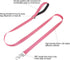 Reflective Nylon Dog Leash for Walking,Strong Dog Leash with Padded Handle for Medium and Large Dogs,6 FT,Hot pink