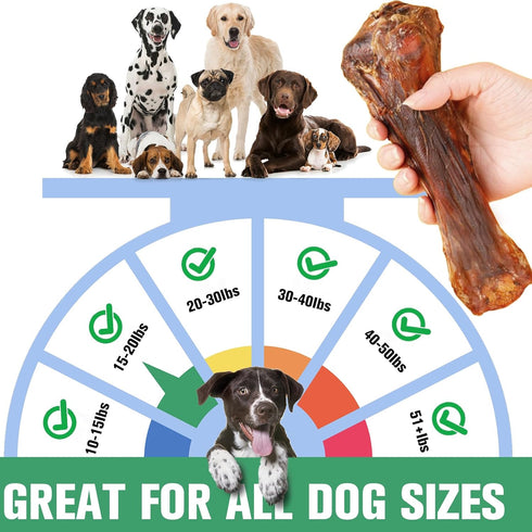 Cahnvob 8'' (1 Count) Real Beef Bones for Dogs with Meat - Big Dog Bones Beef Shank Bone, Rawhide-Free Long-Lasting