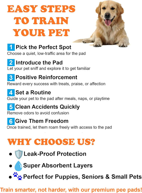 24x35 Inch, (20-Pack), Aurora Pet Ultra-Absorbent Puppy Pee Pads XL Leak-Proof & Quick-Dry Potty Training Pads