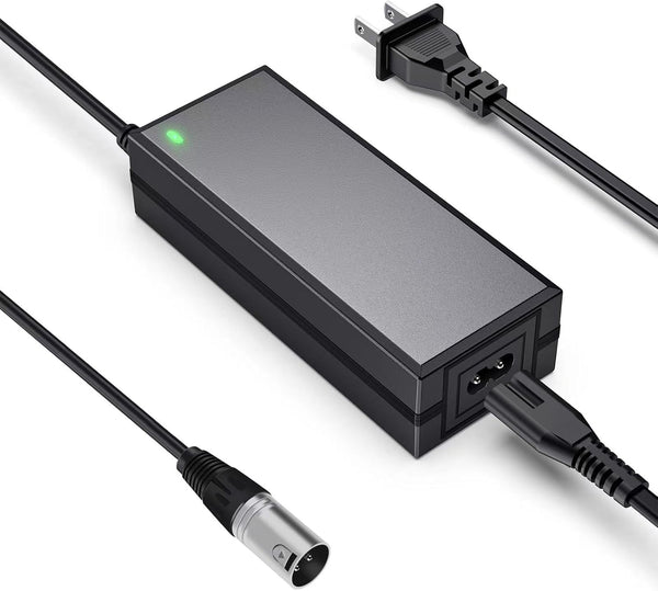 nvmw 24V 2A Electric Scooter Battery Charger, Suitable for Go Go Elite Traveler,