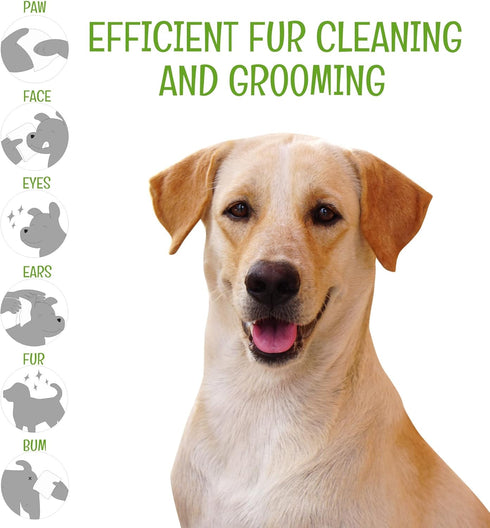 Dog Wipes for Paws, Butt, Ears, Eyes - Organic Hypoallergenic Lavender Scented Wipes, 100 Count