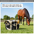 (Stylish,10.63 10.63 9.45 Inch,Khaki Abbylike Grooming Tote Bag for Horses and Dogs Organize Tack Tools Equestrian