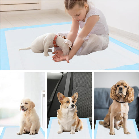 Dog Training Pads 22x22, 50 Count Waterproof Pee Pads for Dogs and Puppies, Leak-Proof for Playpen