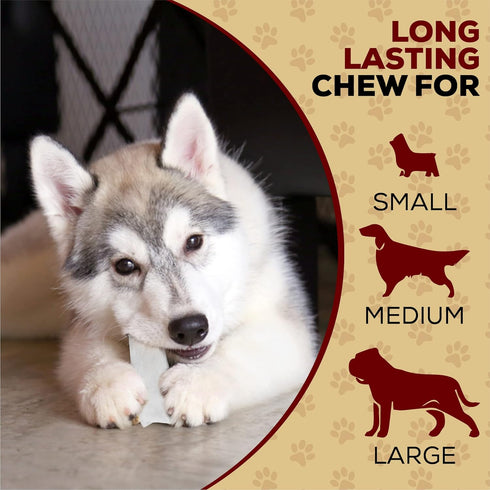 All Natural Dog Chew Treats, Premium Rawhide Chips, 1 Pound, Long Lasting Grass Fed Beef Hide