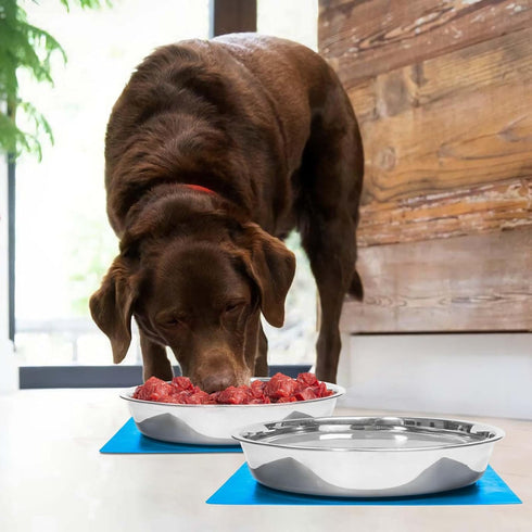Shallow Dog Food Bowls, Non-Slip Food Grade Stainless Steel for Large Dogs - 8 Cups / 2 Quart (2 Pcs)