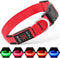 Illumifun LED Dog Collar, Adjustable Light Up Safety Pet Collar (Red, Small)