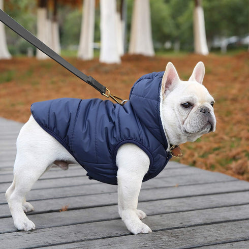 Fleece Hoodie, Windproof Waterproof Coat, Winter Warm Jacket for Small Medium Large Dogs (2XL: Blue)