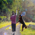 POPETPOP Flirt Pole for Dogs, Interactive Teaser Wand with 2 Rope Chew Toys for Training and Exercise (Size L)