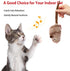 Gigwi Chirping Bird Cat Toy Set - Interactive Motion Activated Toy for Indoor Cats