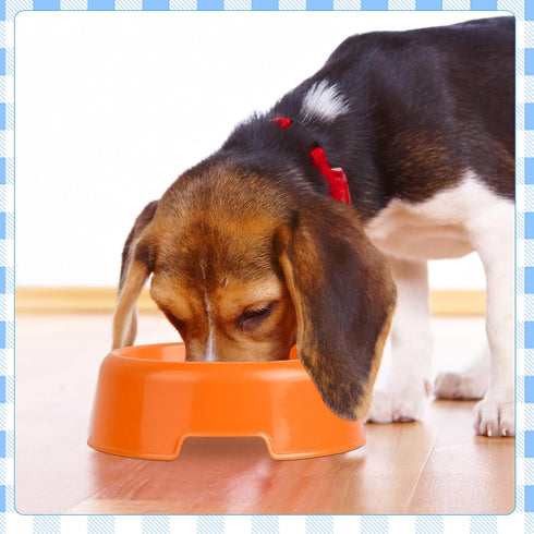 24Pcs Plastic Dog Bowls for Puppy Dogs, Reusable Pet Feeding Water Bowls, Cat, Kitten, Birthday Party Supplies (Rose