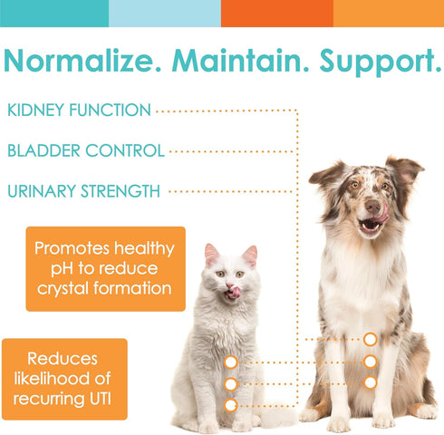 UTRIN Urinary Support for Cats & Dogs, Dual-Action Cranberry & D-Mannose, 60 Servings