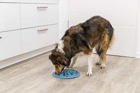 TRIXIE Slow Feeding Dog Puzzle Mat for Weight Control