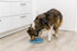 TRIXIE Slow Feeding Dog Puzzle Mat for Weight Control
