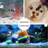 Aquarium Decorative Sands - White Gravel Pebbles for Aquariums & Terrarium Landscape, 2 Pounds