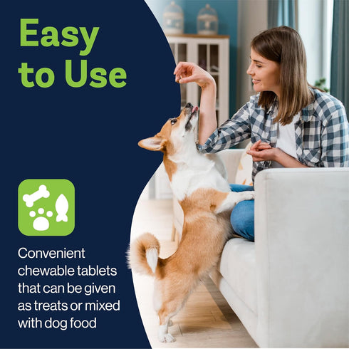 Level Up Pup LVL Up Pup Dog Joint Supplement for Senior Dogs Hip & Joint Supplement for Dogs with Glucosamine