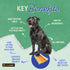 Chewmeter Himalayan Yaky Cheese Chew, 100% Natural, Long Lasting, Gluten Free, Healthy & Safe Dog Treats, Lactose & Grain Free, Protein Rich, Stain Free, X-Large, For Dogs 55 Lbs & Over, 5.3 oz