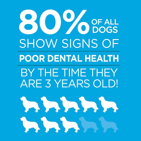 Brush Free Oral Gel for Dogs | Vet Formulated Dental Care with ProLong Technology for Cleaning Teeth and Gums